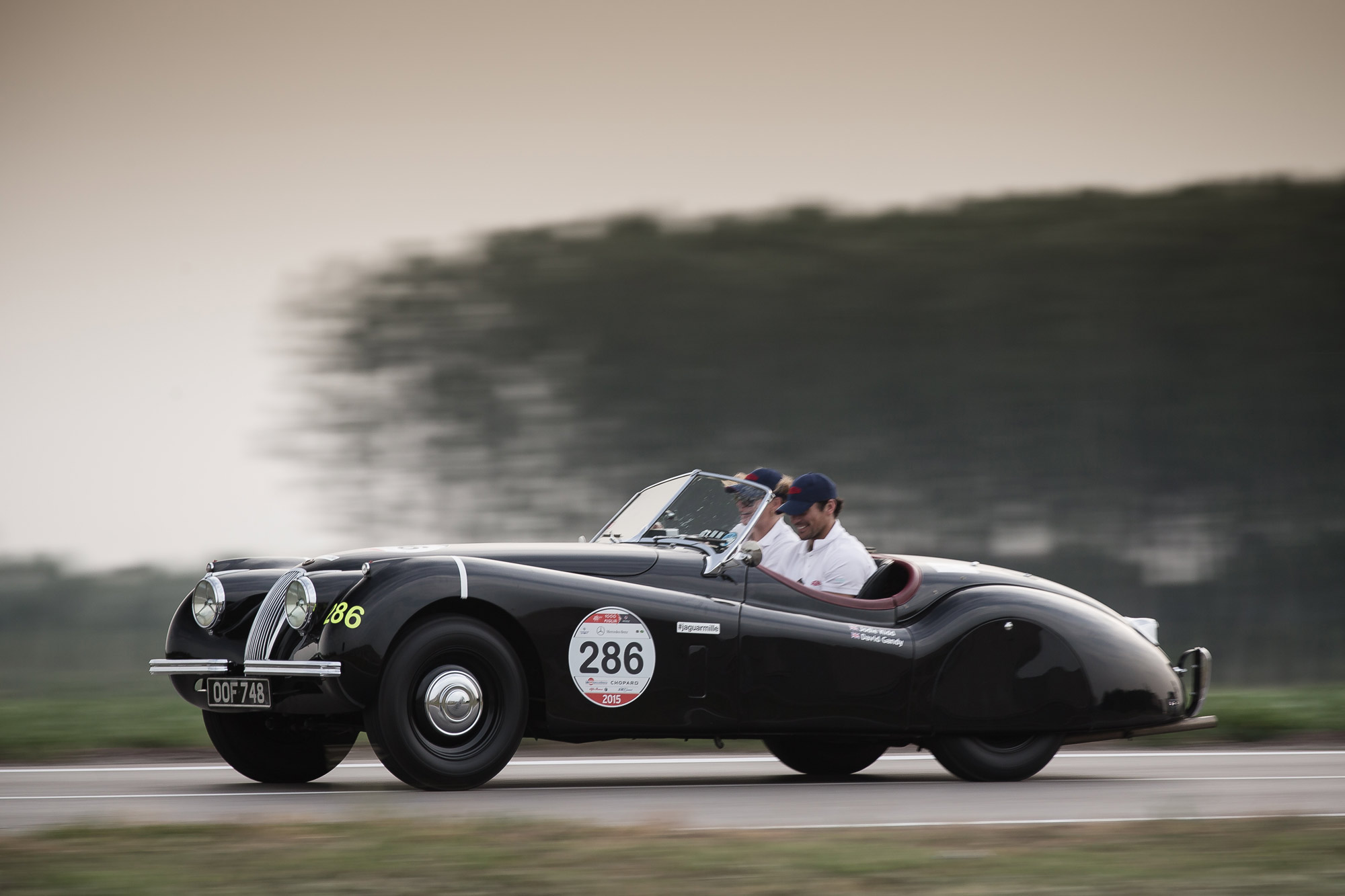 Jaguar bei der Mille Miglia